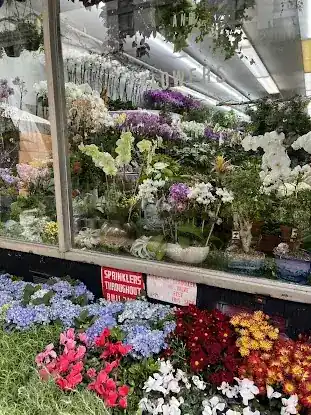 NYC HISTORIC FLORAL DISTRICT MUSEUM (MAIN OFFICE)
