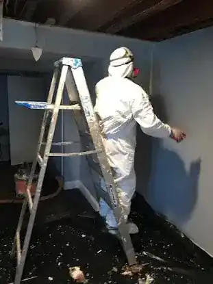 NYC Mold Removal & Remediation