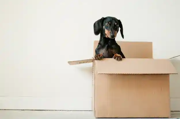NYC Moving Supplies