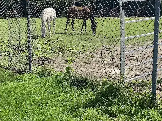 NYC Riding Academy