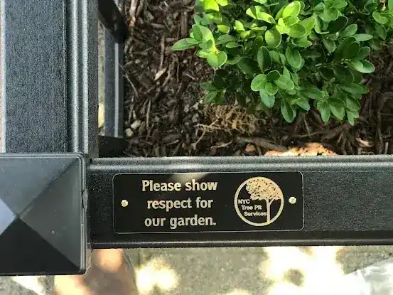 NYC Tree Pit Services