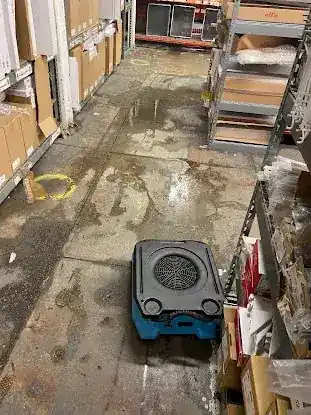 NYC Water Removal