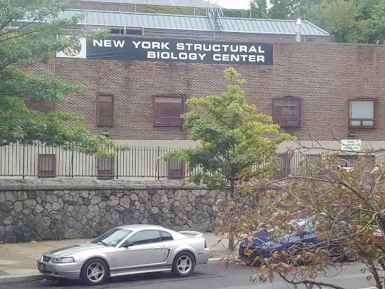 NYSBC
