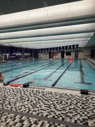 NYU Athletics at the John A. Paulson Center