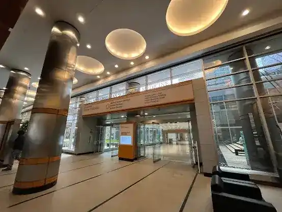 NYU Grossman School of Medicine