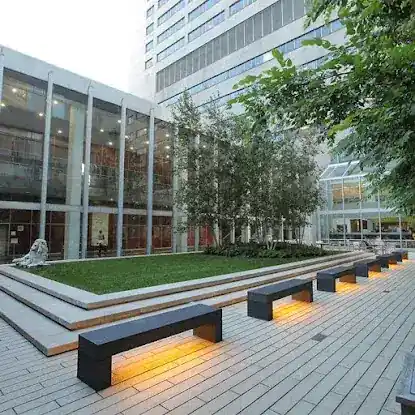 NYU Langone Cardiology Associates—Suite 4F