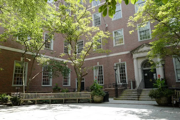 NYU School of Law