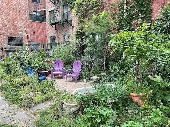 Oasis Garden