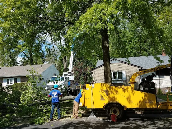 O'Brother Tree Service LLC
