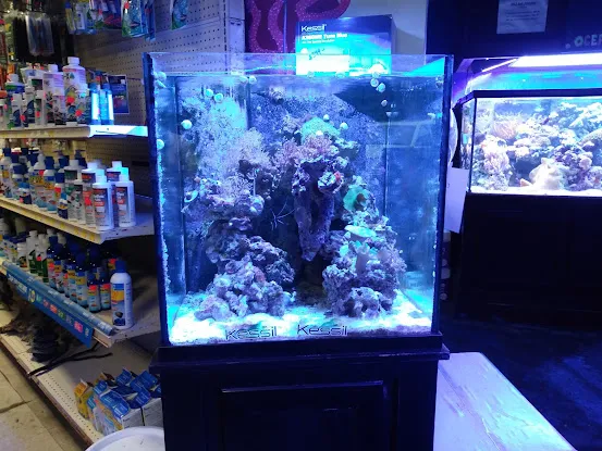 Ocean Gallery