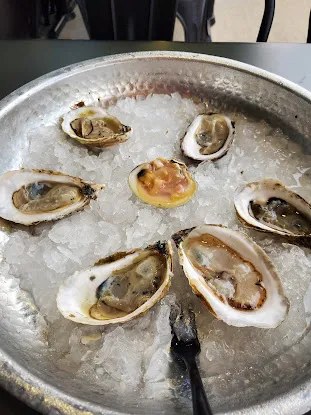 OCEAN SEAFOOD DEPOT INC Wholesale
