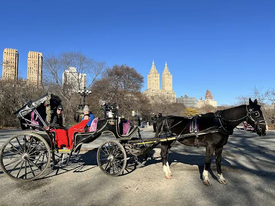 Official Central Park Carriage Tours