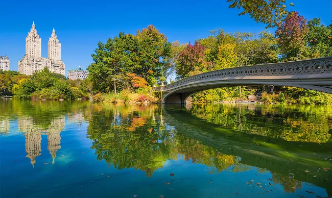 OFFICIAL Central Park Pedicab Tours