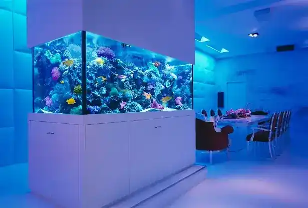 Okeanos Aquascaping