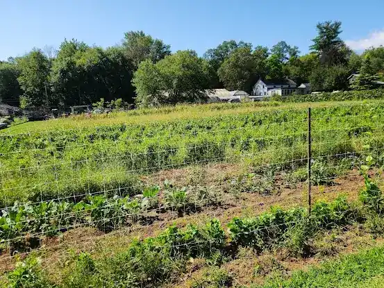Old Hook Farm