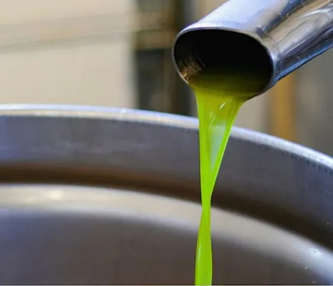 Olive from the Raw