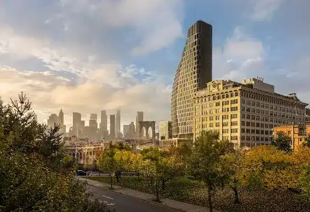 OLYMPIA DUMBO