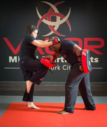 OMNE Martial Arts, Fitness & Wellness