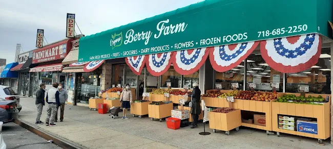 Organic Berry Farm