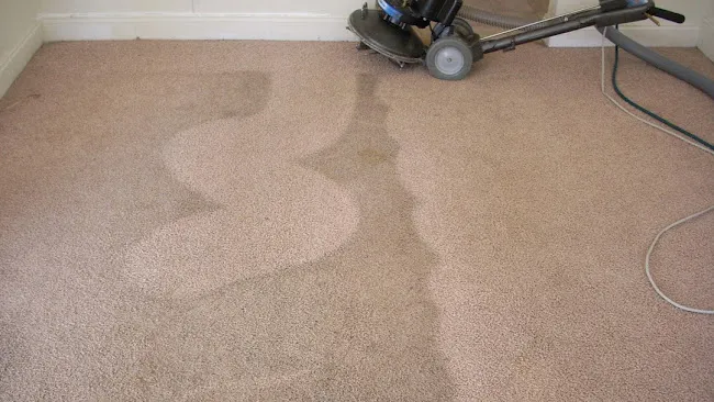 Organic Rug Cleaners