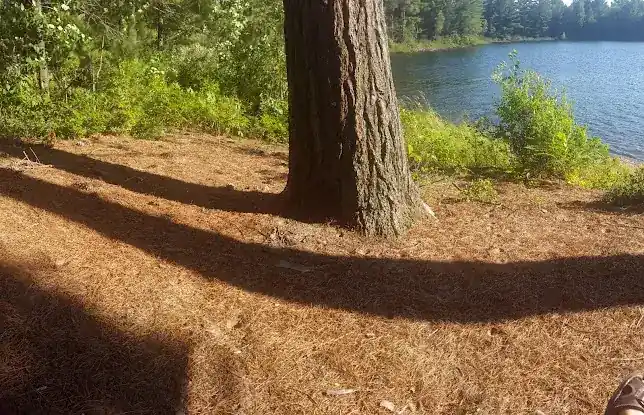 Otter Creek Lodge