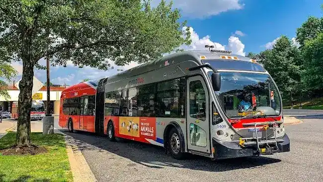 OurBus NYC