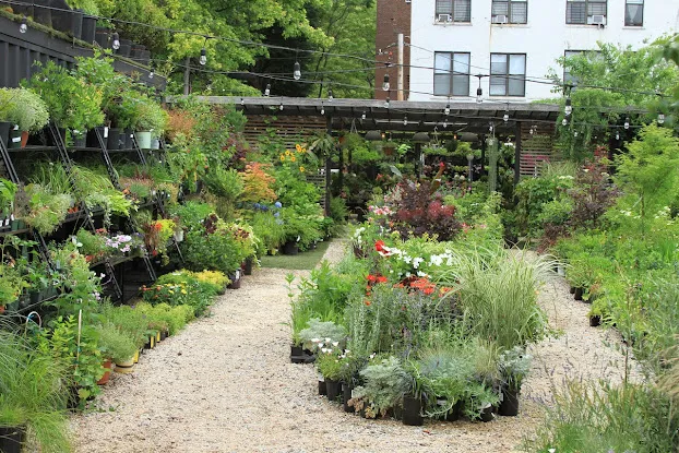 Outside Space Garden Center