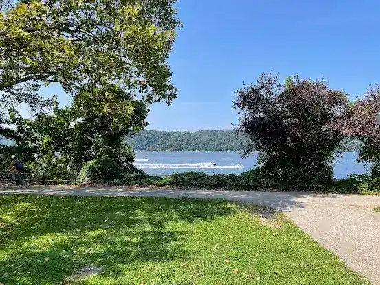 Overlook Meadow