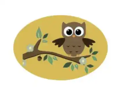 OWL Early Intervention Program, LLC. Bronx Center