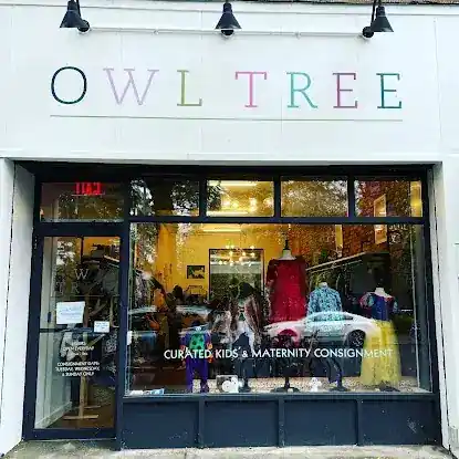 Owl Tree Kids