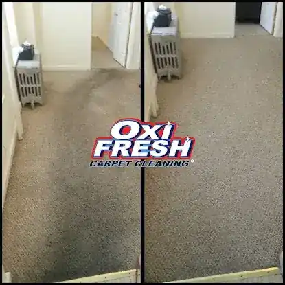 Oxi Fresh Carpet Cleaning