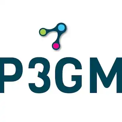 P3 Global Management