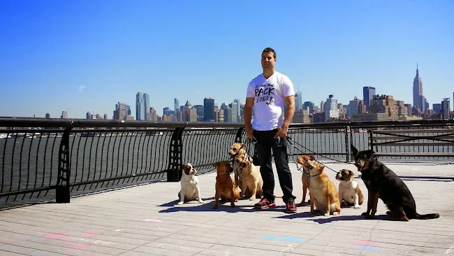 Pack Leader Dogs