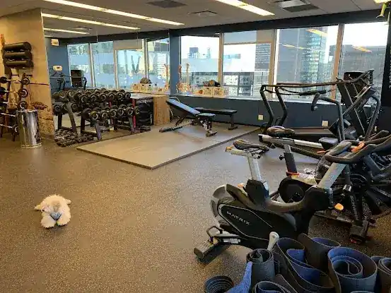 PACT Physical Therapy - Midtown East