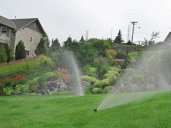 Pagan Irrigation