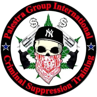 Palestra Group International