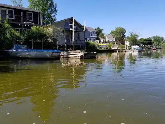 Paradise Boats