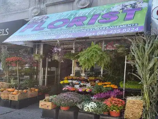 Paradise Florist Corp.