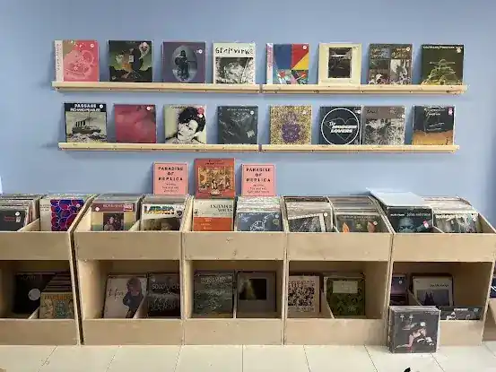 Paradise of Replica
