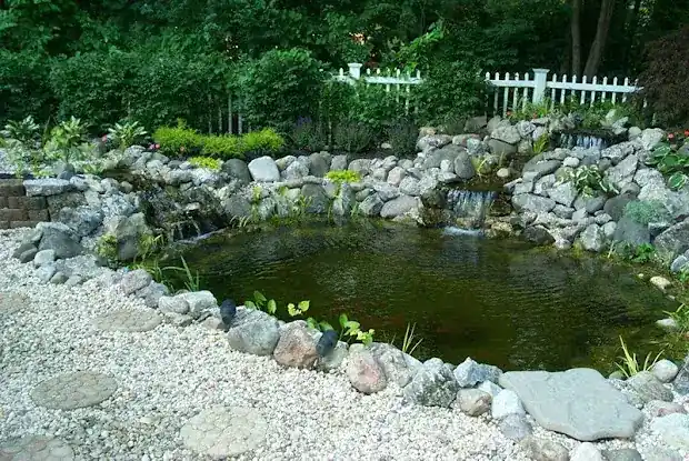 Paradise Ponds by Ed Dedicke