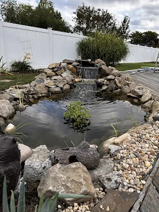 Paradise Ponds