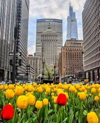 Park Ave
