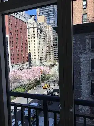Park Avenue Sinus and Allergy Center