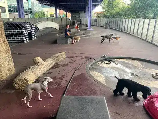 Parks Dog Run