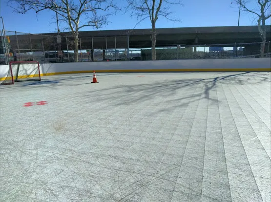 Paul L. McDermott Rink
