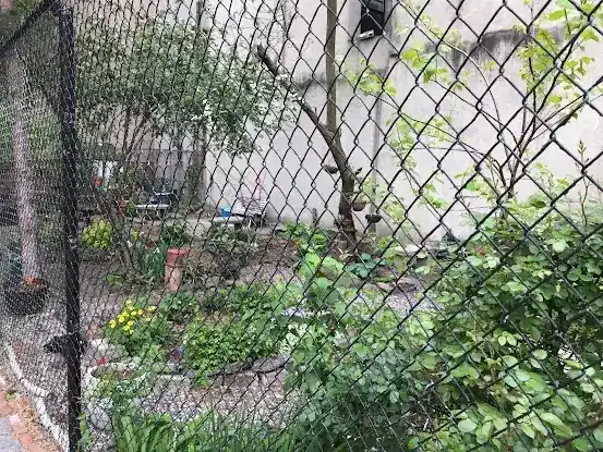 Peaceful Valley Garden