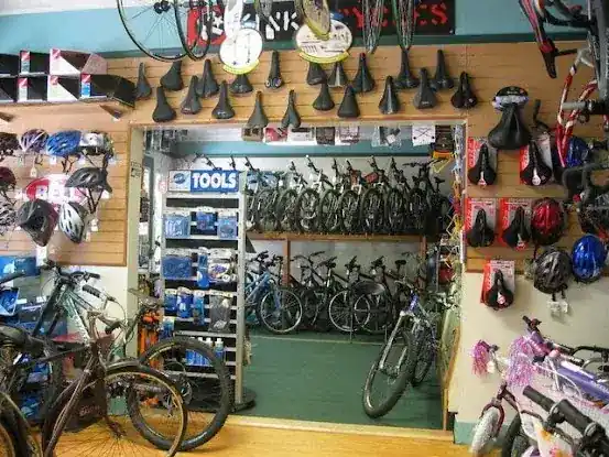 Peak Bicycle Pro