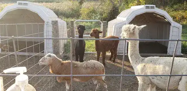 Pearl's Stony Creek Farm
