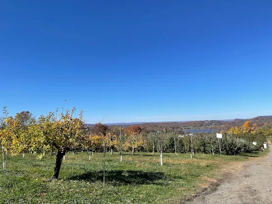 Pennings Orchard