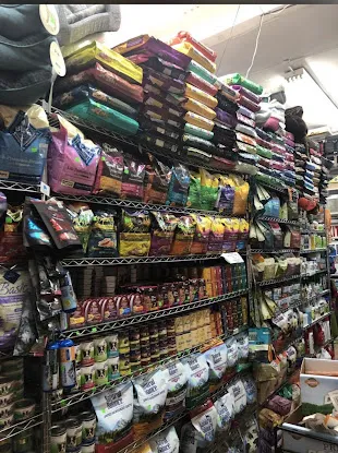 Pet Ark Harlem